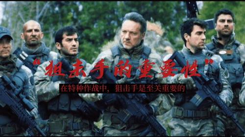 山2的电影在线观看,在线观影之旅，探索未知奇境