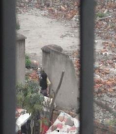 工地门在线观看,揭秘建筑工地的真实生活
