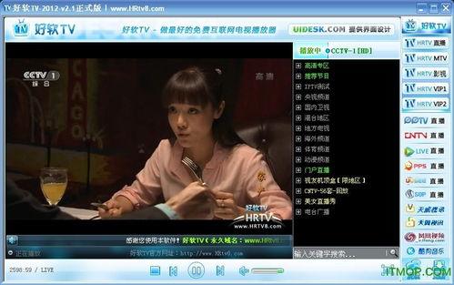 网络tv在线观看