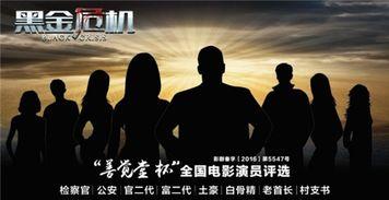 黑金危机 在线观看,揭秘能源危机背后的真相