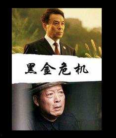 黑金危机 在线观看,揭秘能源危机背后的真相