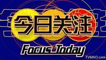 在线观看今日关注