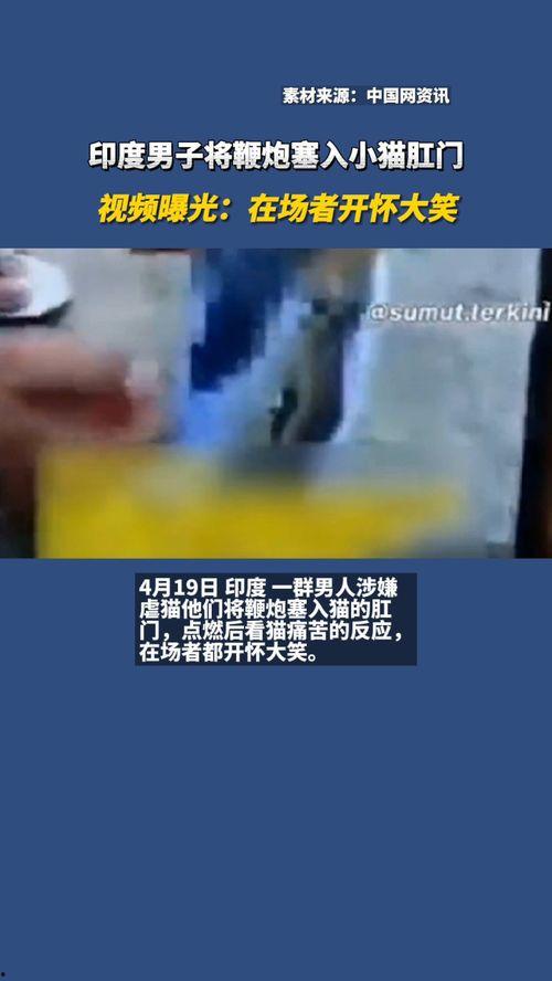 笑傲肛门在线观看,揭秘神秘肛门世界