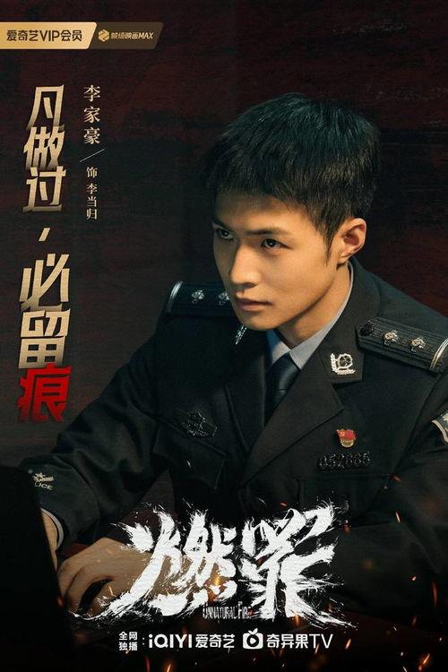 电视剧刑警在线观看,破案风云，正义之光