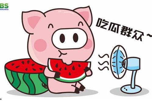 娱乐说吃瓜,揭秘明星幕后故事