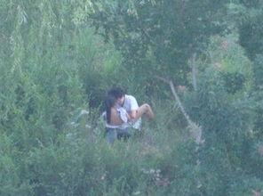 直播野战在线观看,实时体验刺激战场，尽享在线观战乐趣