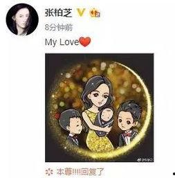 林姐吃瓜娱乐圈小说,揭秘娱乐圈背后的秘密风云