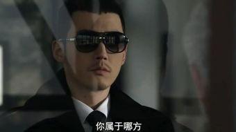 iris 2在线观看,iris 2在线观看之旅