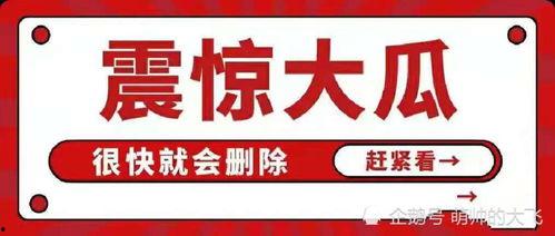 吃瓜娱乐八卦网站下载,明星幕后故事大曝光！