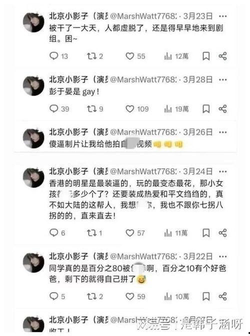 娱乐吃瓜小花视频,吃瓜小花视频背后的故事