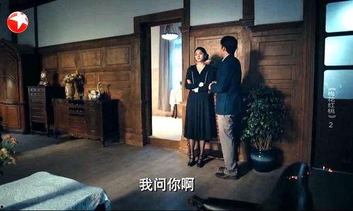 精品梅2在线播放观看,在线观看，尽享视听盛宴