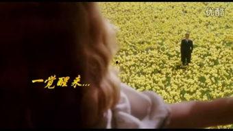 青春忏悔在线观看,回忆与救赎的青春之旅