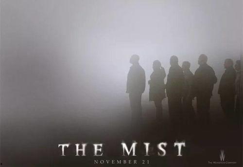 《迷雾》在线观看,揭开真相的层层迷雾