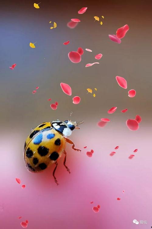 1034手机在线观看,畅享便捷观影新体验