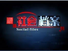 社会档案在线观看,揭秘历史与现实的交织