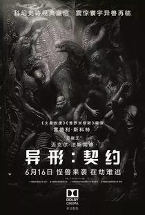 异形契约在线免费观看,揭秘外星文明与人类命运的惊悚之旅