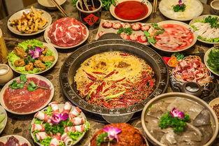 娱乐吃瓜小火锅小说,娱乐圈的麻辣盛宴