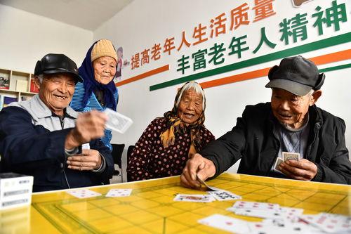 在线观看幸福院,幸福院里的温馨时光