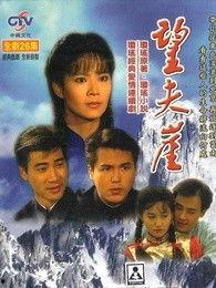 电视剧望夫崖在线观看,穿越时空的深情守候