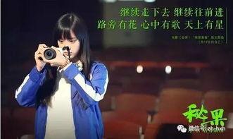 秘果13在线观看,揭秘神秘力量的奇幻冒险之旅