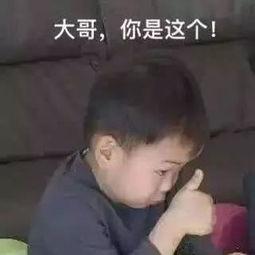 娱乐吃瓜酱emo,揭秘娱乐圈幕后故事