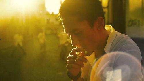 电影春光乍泄在线观看,一场跨越时空的深情邂逅