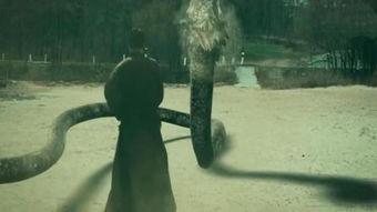 蛟龙在线观看,揭秘深海探险的惊险之旅