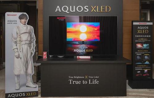 日本 买电视,品质与技术的完美融合