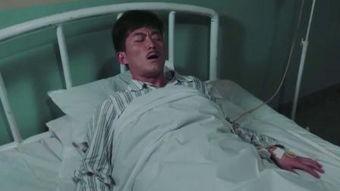 谢文东在线观看免费观看,风云再起，免费观看，重温经典