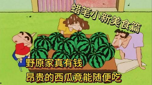 娱乐吃瓜姐蜡笔小新,揭秘蜡笔小新的趣味世界