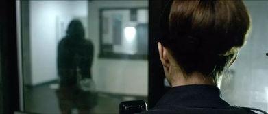 躲藏-在线观看 电影,揭秘电影躲藏的惊悚悬疑之旅