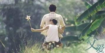 在线观看父爱如山,一部展现深沉父情的感人佳作