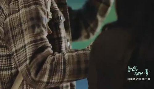 起尾注电影在线观看,揭秘幕后故事，在线观看带你走进光影世界