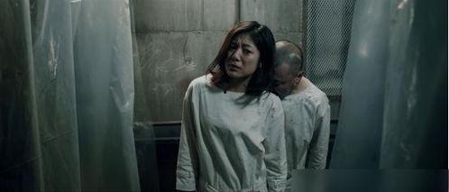 非法囚禁 在线观看,在线观看背后的真相与警示