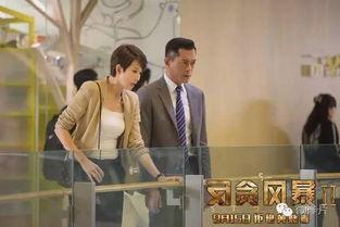 反贪风暴2在线观看免费,正义风暴再起，反腐利剑出鞘！