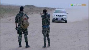 战狼2第二集在线观看,热血激战，勇闯天涯！