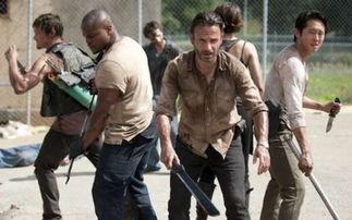 行尸走肉6在线观看,生死边缘的绝望求生之旅