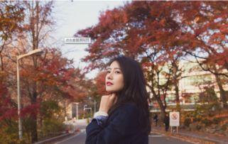 韩国 风流的女人,揭秘传统与现代交织中的女性魅力