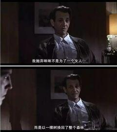 电影苦月亮在线观看,一场跨越时空的禁忌之恋