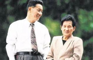 《触角》日本电影,探寻人性深处的情感纠葛