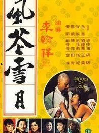 风花雪月电视在线观看