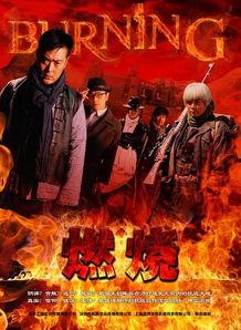燃烧的电视剧在线观看,揭秘都市生活背后的激情与挣扎