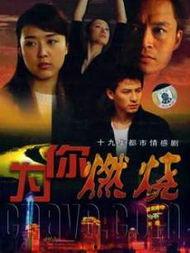 燃烧的电视剧在线观看,揭秘都市生活背后的激情与挣扎