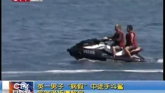 电影斗鲨在线观看,深海激战，生死较量