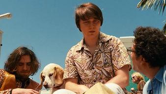 爱与慈悲在线观看,探寻心灵治愈的温暖之旅