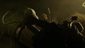 异形契约在线观看正片