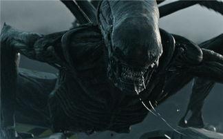 异形契约在线观看正片